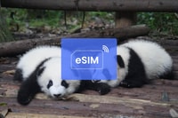 Chengdu, Cina (con VPN)/Asia ESIM ROAMING MOBLE DATA Plan - Housity