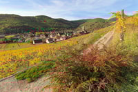 Kaysersberg, gioco per smartphone di città - Housity