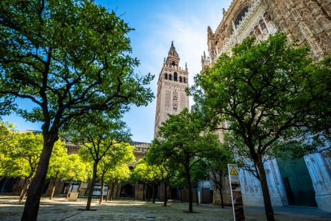 Séville : Visite en petit groupe des cathédrales et de la Giralda avec billets