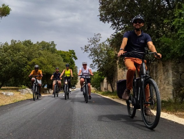 Visit From Avignon Full-Day E-Bike Tour in the Luberon Region in Avignon