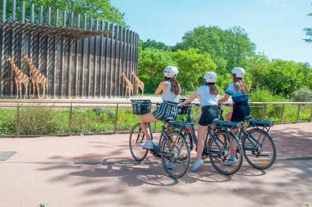 2 hours guided bike tour of Lyon