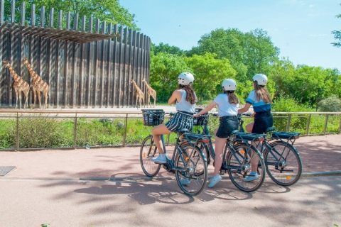 Lyon: Wycieczka dla smakoszy na rowerze elektrycznym