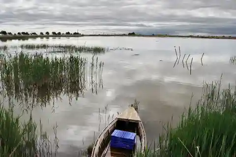 Madármegfigyelés az Ebro-deltában