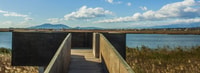 Birdwatching in the Ebro Delta - Housity