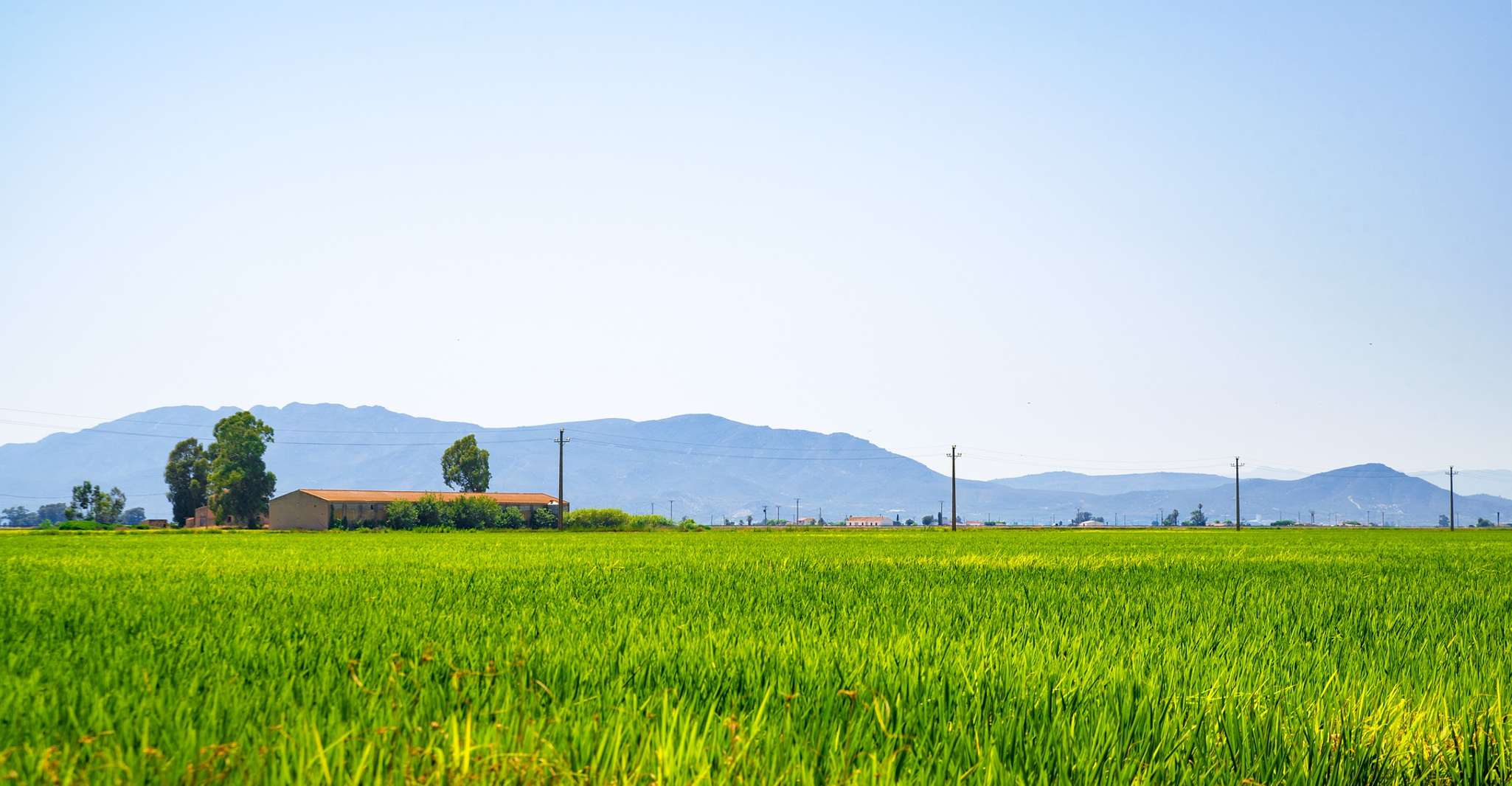 Birdwatching in the Ebro Delta - Housity