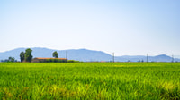 Birdwatching in the Ebro Delta - Housity