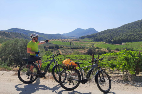 Corinthe et Némée : Visite en E-bike des vignobles antiques