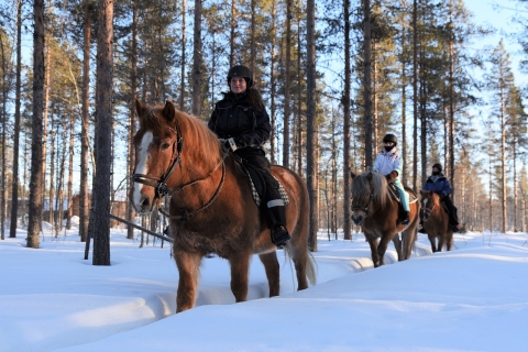 Steps on the snow – Nice trail ride in the pine forest