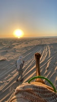 Dakhla cavalcata di cammello - Hizvo