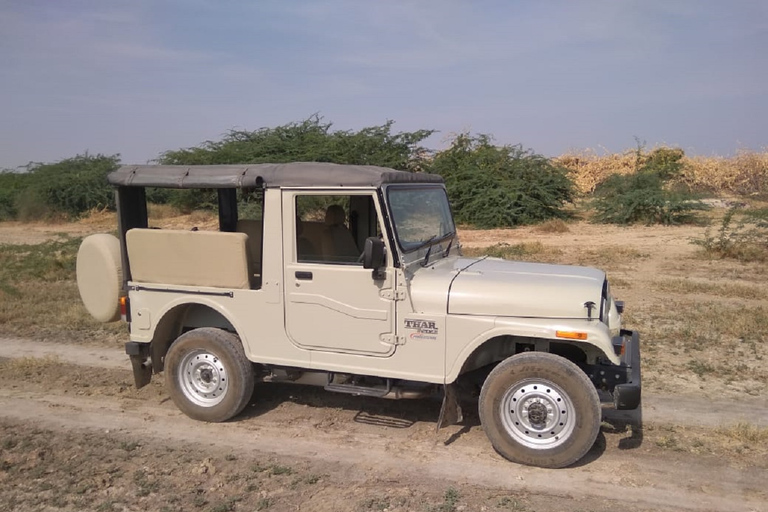 8 - Jours d'excursion dans le désert à Jodhpur, Jaisalmer et Bikaner