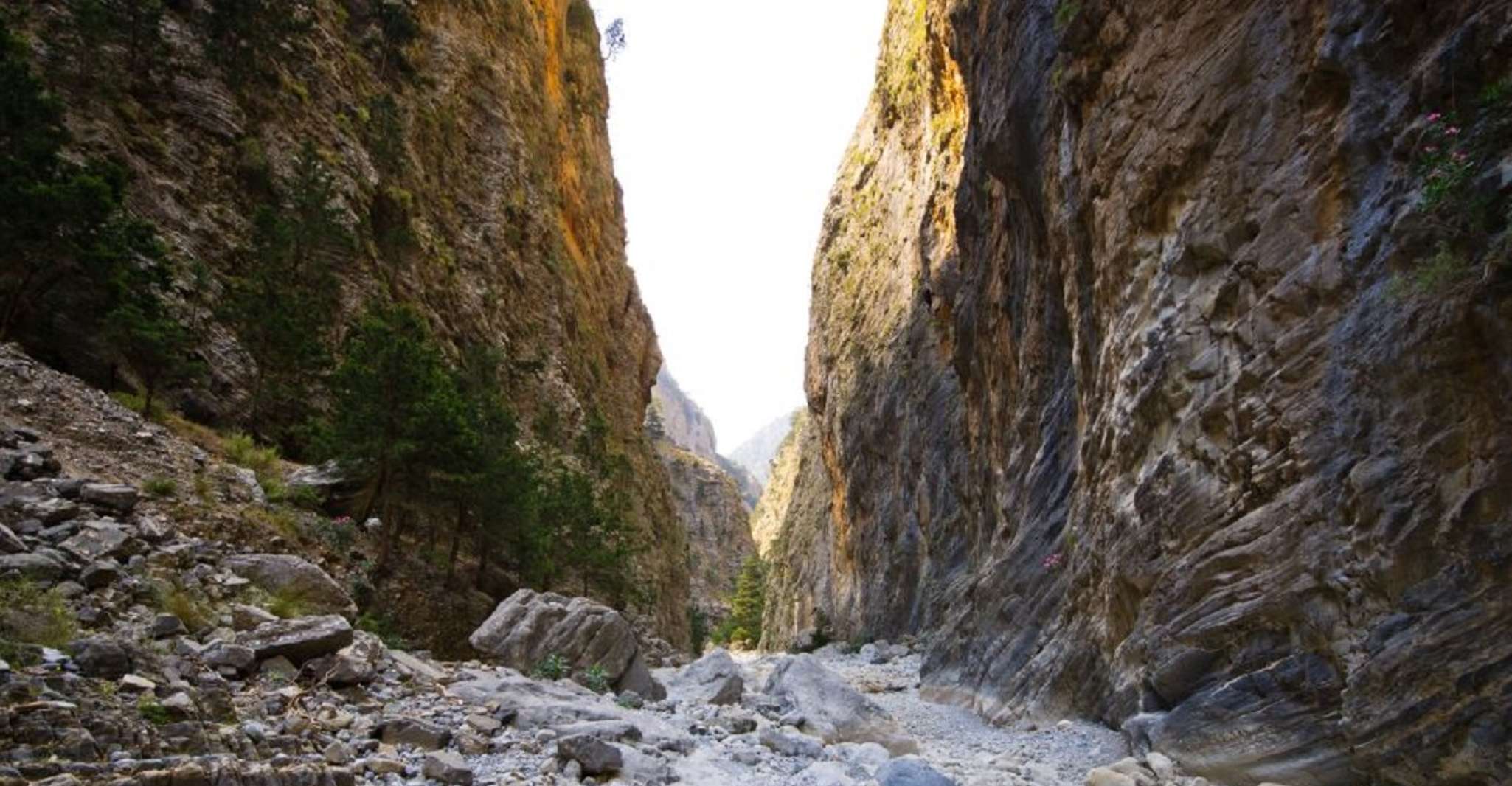 من شانيا ، سامريا ڠُرْدِفْتِكَ - Hizvo