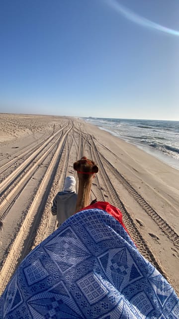 Dakhla Kamelritt - Hizvo