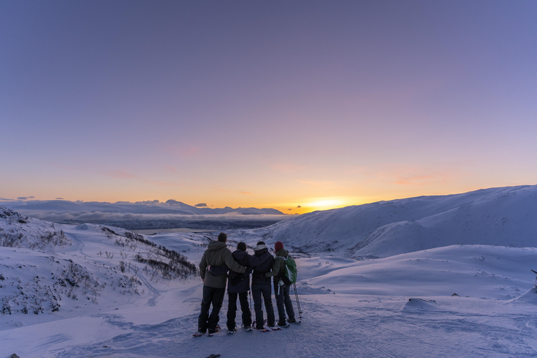 From Tromsø: Snowshoe Hike with Local Guides