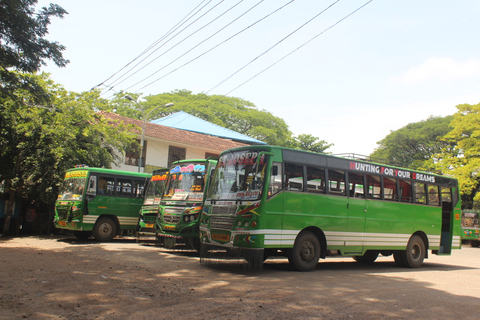 Tour privato dell&#039;esperienza Tuk Tuk a Fort Kochi e alla Città Ebraica.