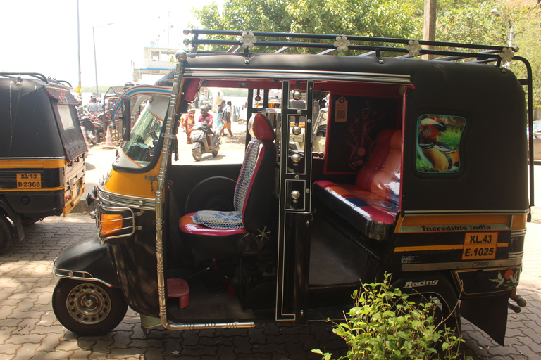 Fort Kochi i miasto żydowskie pieszo, tuk tukiem i autobusem publicznymZgrupuj do 6 osób Fort Kochi i żydowskie miasto w Tuk tuk, autobusem publicznym