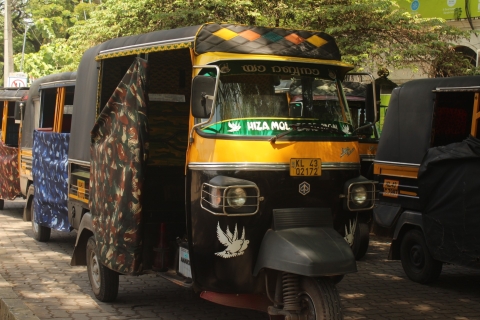 Fort Kochi & Joodse stad te voet, per Tuk Tuk en openbare busGroep tot 6 Fort Kochi & Joodse stad in Tuk tuk, openbare bus