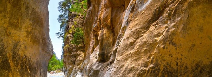 Au départ de Réthymnon : Randonnée d'une journée dans les gorges de Samariá