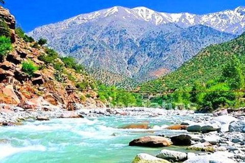 Half Day Tour From Marrakech to the Atlas Mountains & Ourika