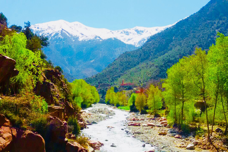 De Marrakech: Excursão de meio dia para as Montanhas Atlas e Ourika