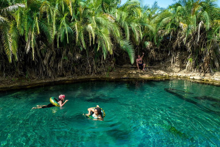 Moshi: Kikuletwa Hot-spring Day Trip Kikuletwa Hot-spring Day Trip