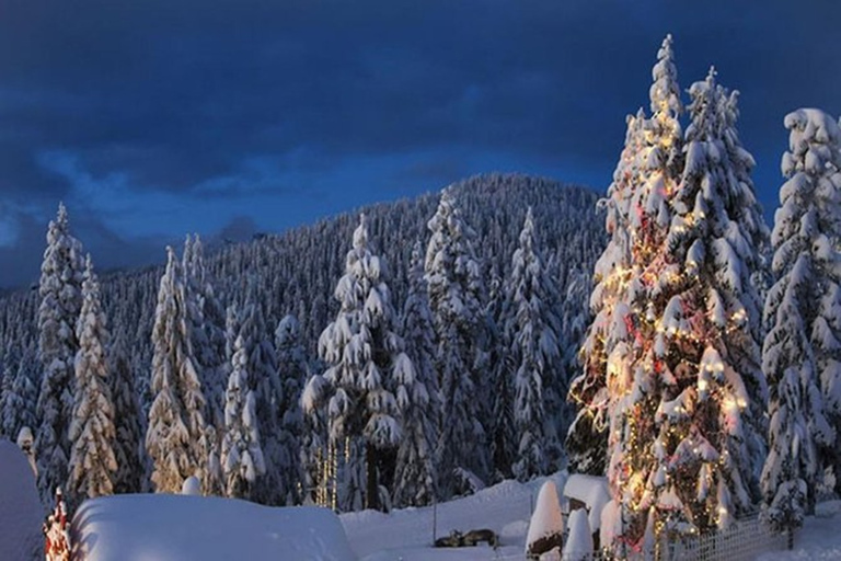 Vancouver Mountain to Mountain (Grouse,Cypress,Mount Seymour