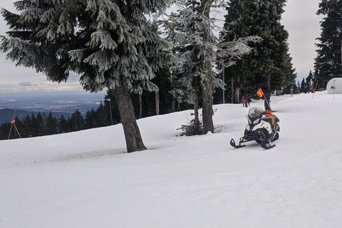 Vancouver Mountain to Mountain (Grouse,Cypress,Mount Seymour