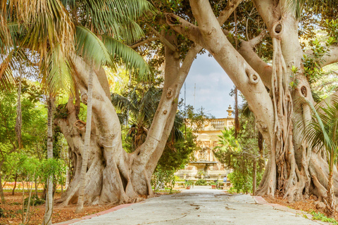 Destaques da excursão a Malta: ícones e experiências da ilha