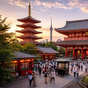 Tokyo : Private Tokyo City Tour with English Driver-Guide Tokyo : Private Tokyo City Tour with English Driver-Guide