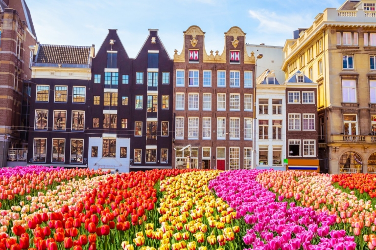 Amsterdam: zelfgeleide ontsnappingsgame in de buitenlucht
