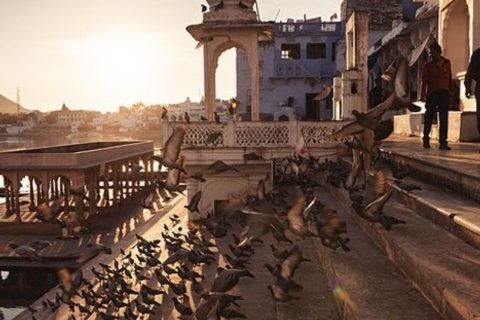 Same Day Tour to Pushkar from Jaipur - Self-Guided Day Trip