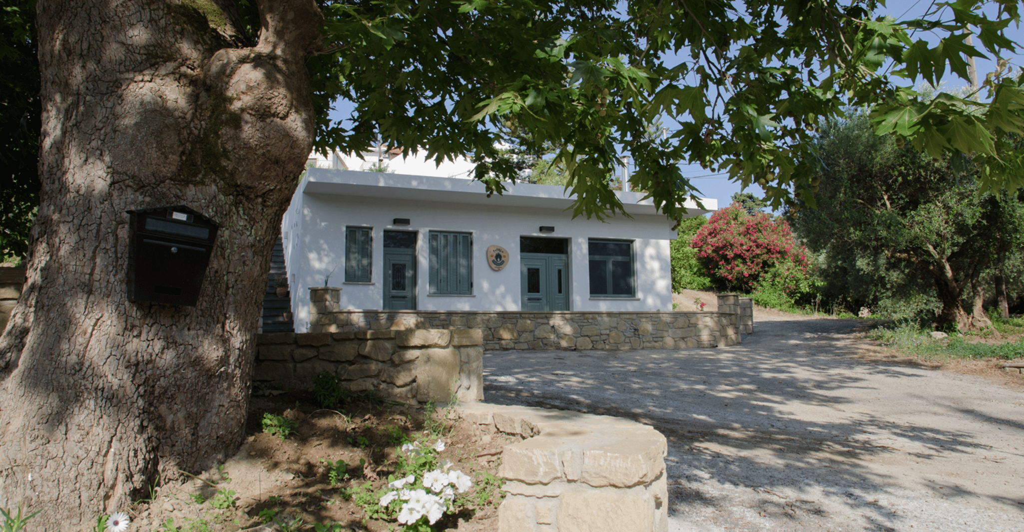 Chania, 5-Wijn Proef met Locals in Village bij Kissamos - Hizvo
