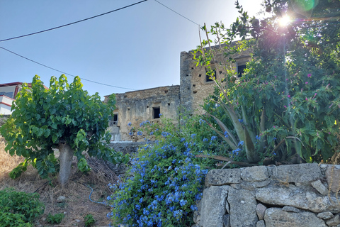 Chania: 5-Wine Tasting with Locals in Village near Kissamos Wine Tasting: "Small Winemakers of Chania" @ West Chania