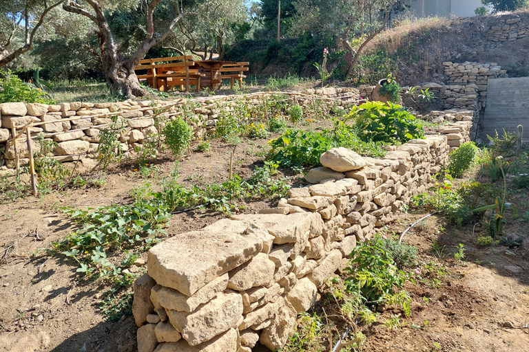 Chania: 5-Wine Tasting with Locals in Village near Kissamos Wine Tasting: "Small Winemakers of Chania" @ West Chania