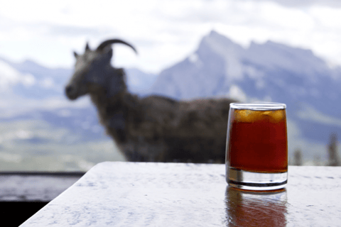 Banff: Sightseeing-Sesselliftfahrt hoch über Banff