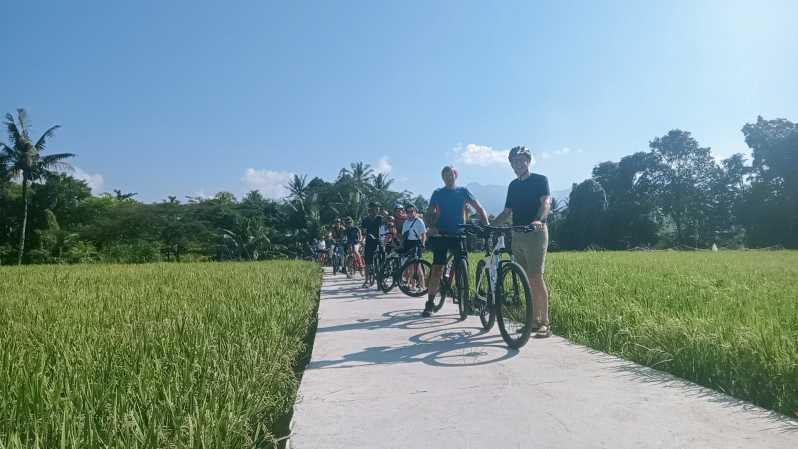 Lombok : Rice Field, Lingsar Temple, Fun Ride