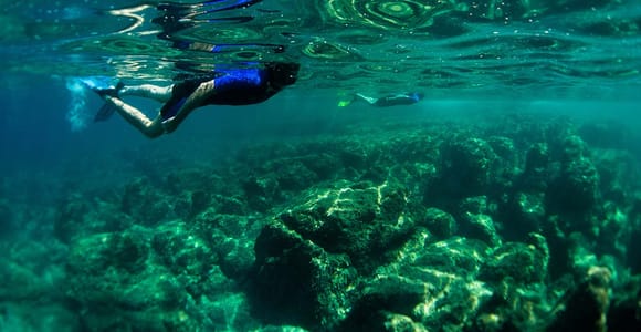 Nizza: Schnorchel-Schnellboot-Tour in der Bucht von Villefranche