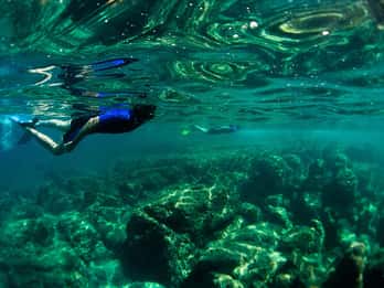 Nice: Snorkeling Speedboat Tour in Villefranche Bay