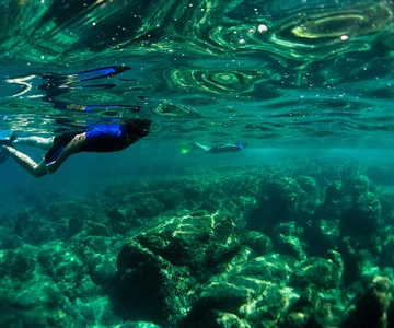 Nice: Speedboat Day Trip with Snorkeling in Villefranche Bay