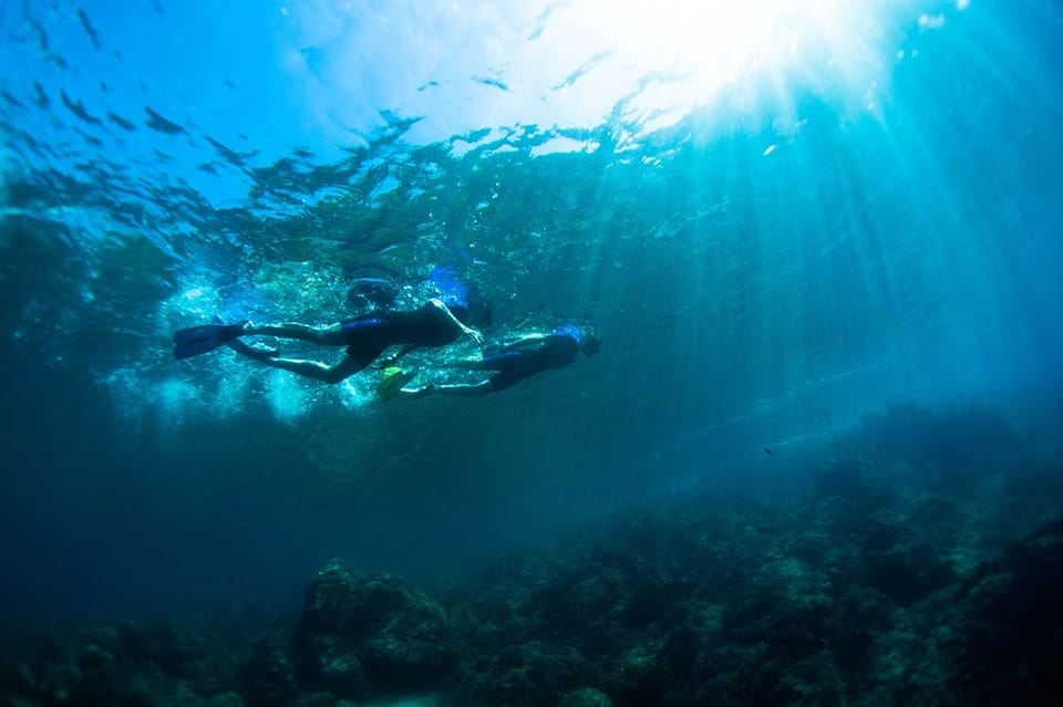 Nice: Speedboat Day Trip with Snorkeling in Villefranche Bay | GetYourGuide