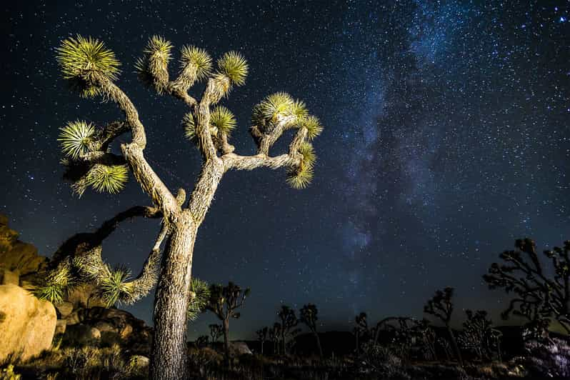 Addicted2wonder Stargazing Joshua Tree National Park Tour Getyourguide