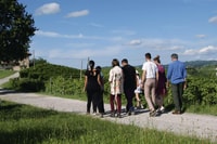 Monforte d'Alba, gira por la bodega con aperiti y degustación - Housity