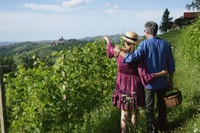 Monforte d'Alba, gira por la bodega con aperiti y degustación - Housity