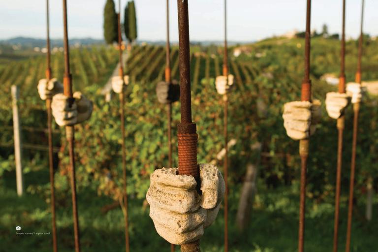 Piedmont: From Milan – Full Day Wine Tour in a Luxury Car