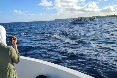 Osservazione privata dei delfini / nuoto con pranzo halal sull'isola