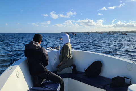 Private Dolphin Snorkeling, Halal Lunch on Island,No Alcohol