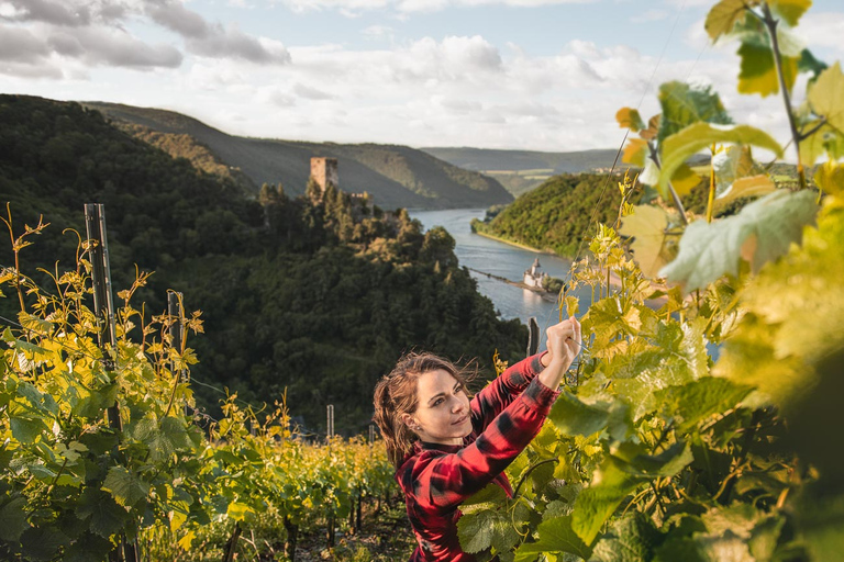 Från Milano: Barolo privat vintur med en privat förarePiemonte: Från Milano - heldags vinresa i lyxbil