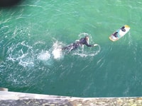 Volledige dag sightseeing/wakeboarding -reis.Dynjandi - Holt - Housity