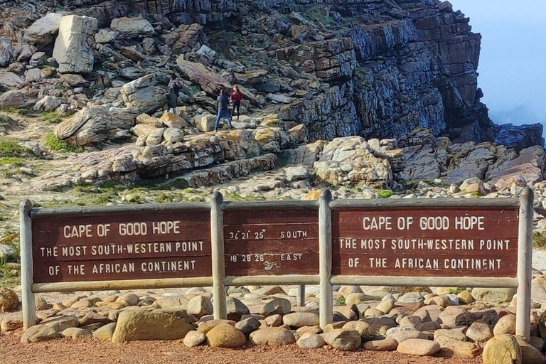 Città del Capo: Capo di Buona Speranza Pinguino Table Mountain Tutto InclusoCittà del Capo: Tour del Capo di Buona Speranza, dei Pinguini e della Table Mountain