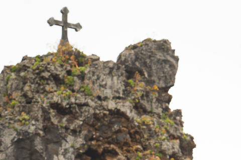 Madeira heldagsturer med jeep i naturen.