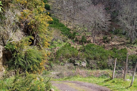 Madeira hele dag jeep natuurtochten.